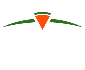 Fizza logo