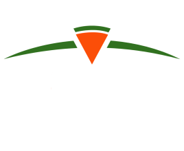 Fizza logo